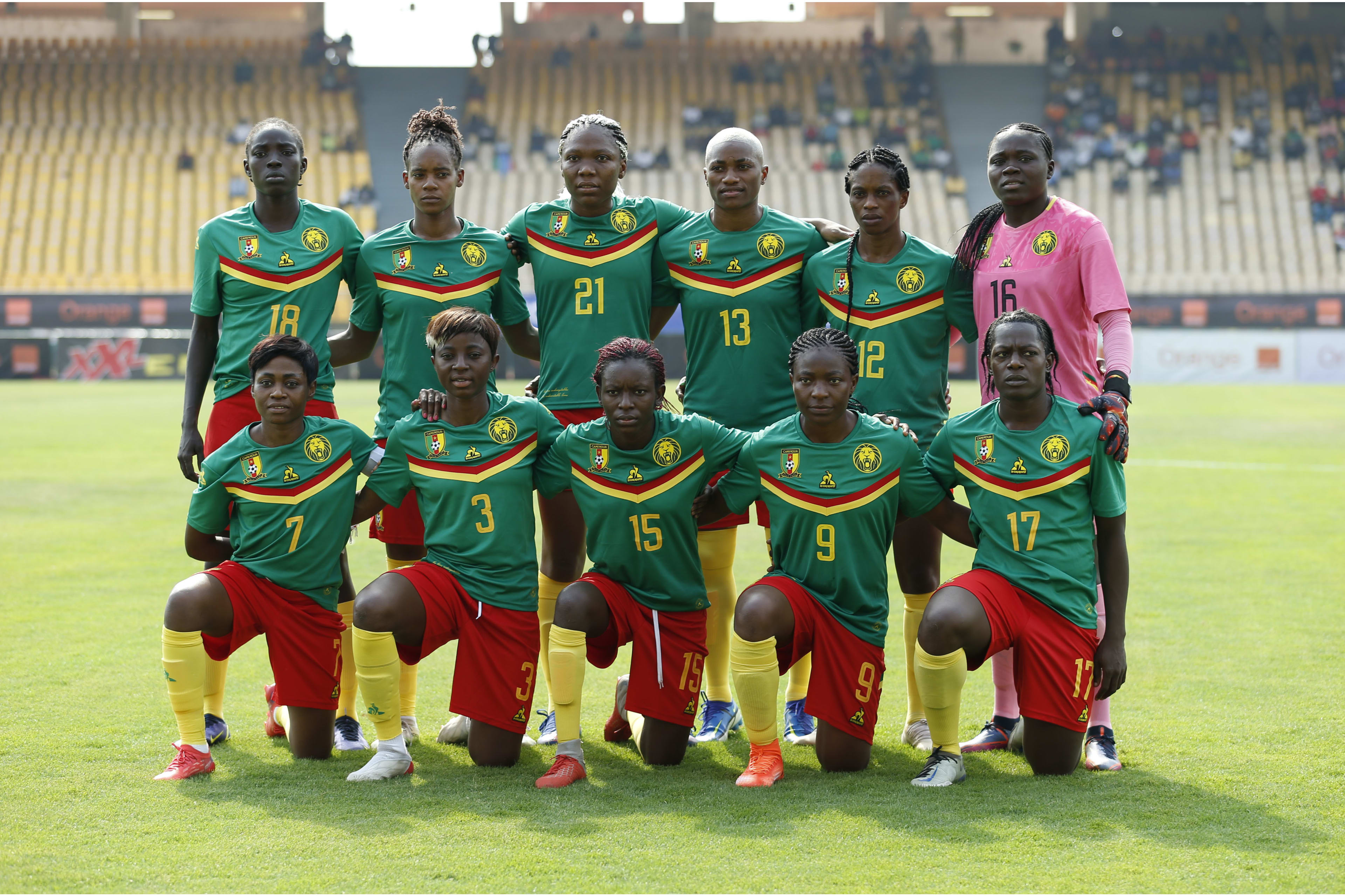 The Indomitable Lionesses The Indomitable Lionesses